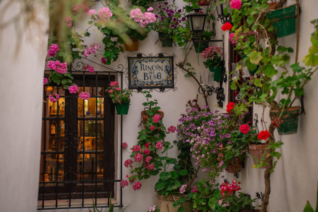 Barrio de la Villa y Balc&oacute;n del Adarve