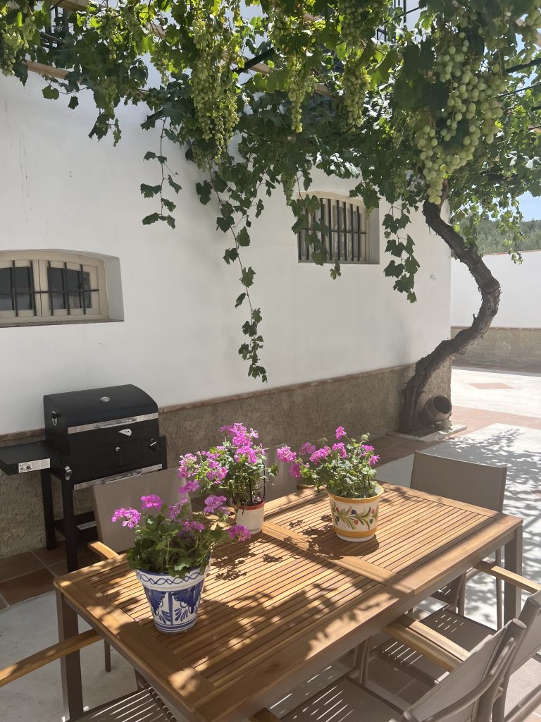 CR Superior Finca Genilla 1