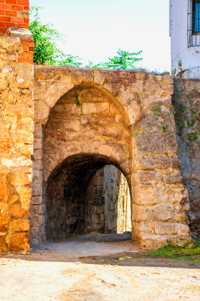 La Puente Llov&iacute;a