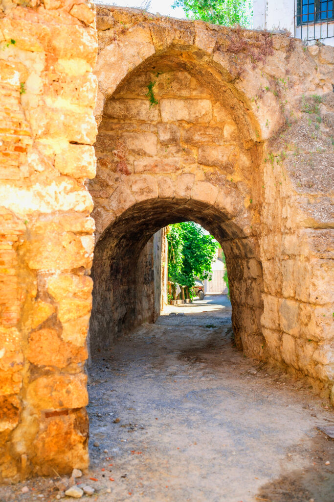 La Puente Llov&iacute;a