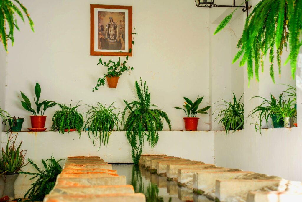 Lavadero P&uacute;blico de la Calle Loja