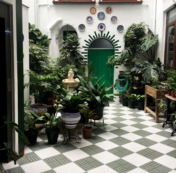 Hoster&iacute;a De Rafi