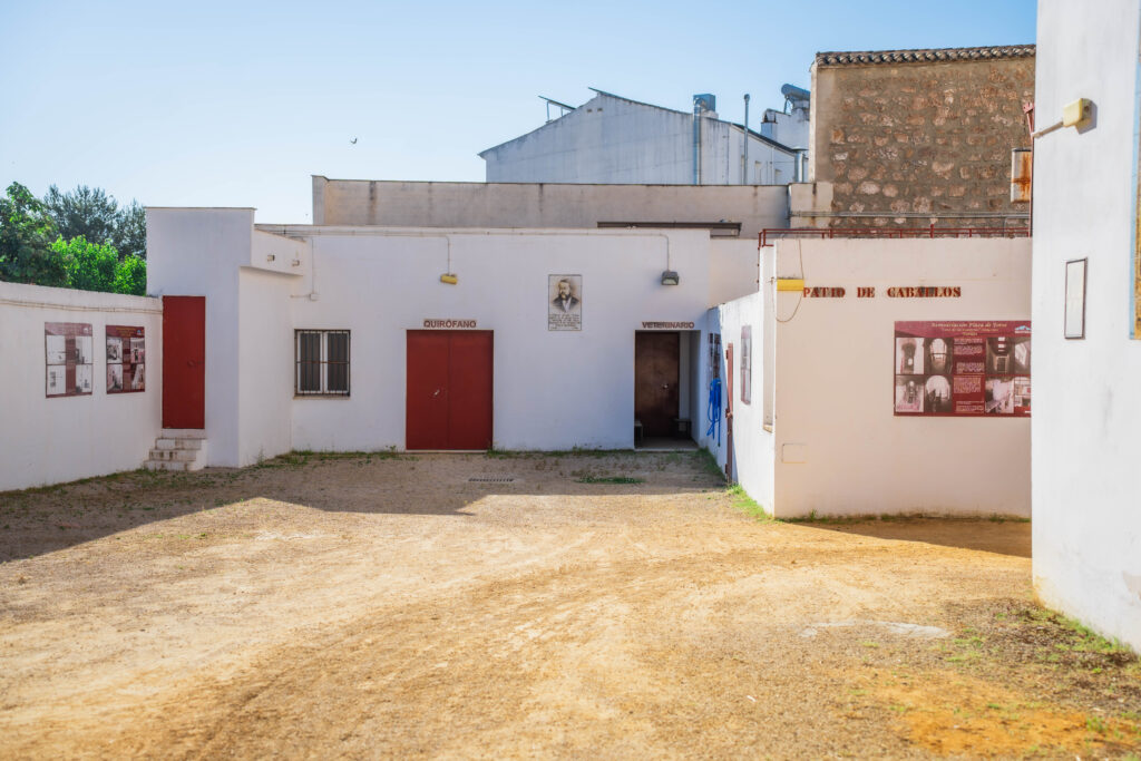 Plaza de Toros