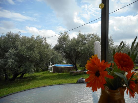 VTAR Casa Girasol
