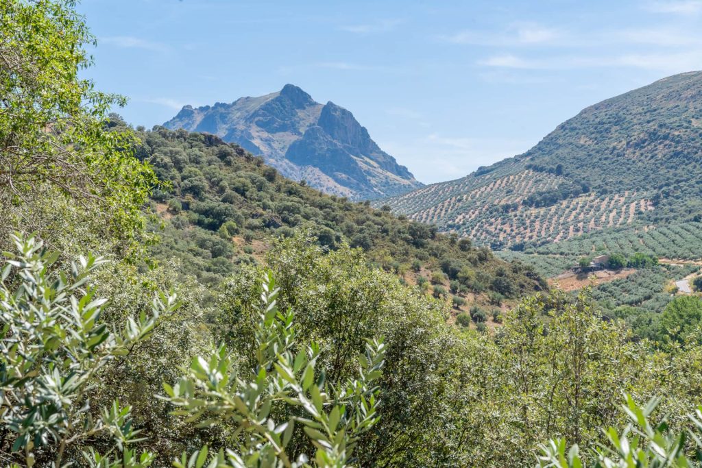 CR Cerro de la Cruz