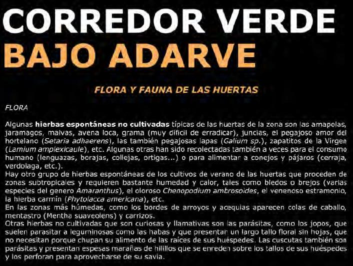 Corredor Verde Bajo Adarve