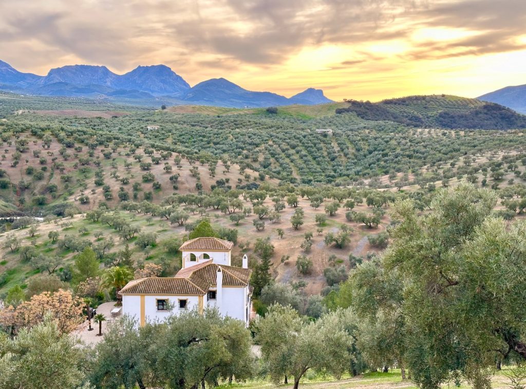 CR Hacienda El Tarajal