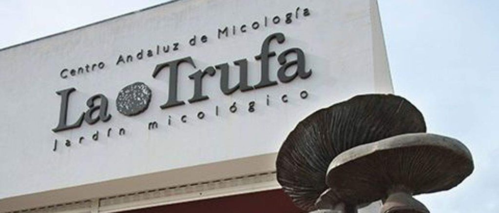 Jard&iacute;n Micol&oacute;gico La Trufa