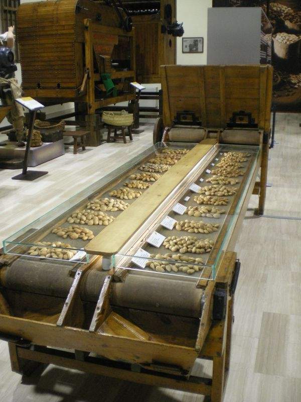 Museo de la Almendra