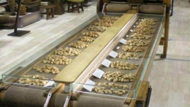 Museo de la Almendra