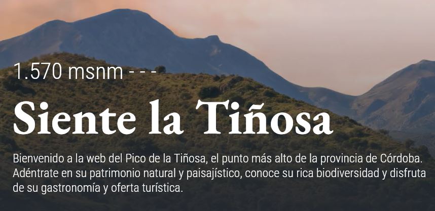 Pico Ti&ntilde;osa
