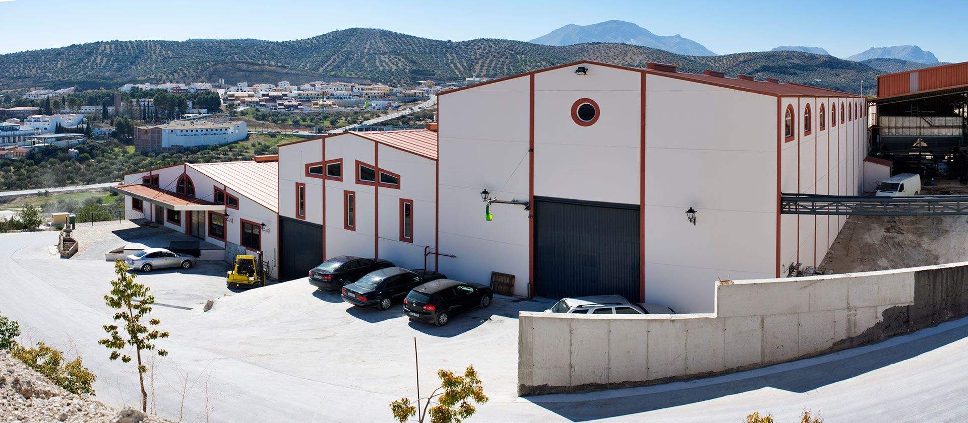 Mueloliva