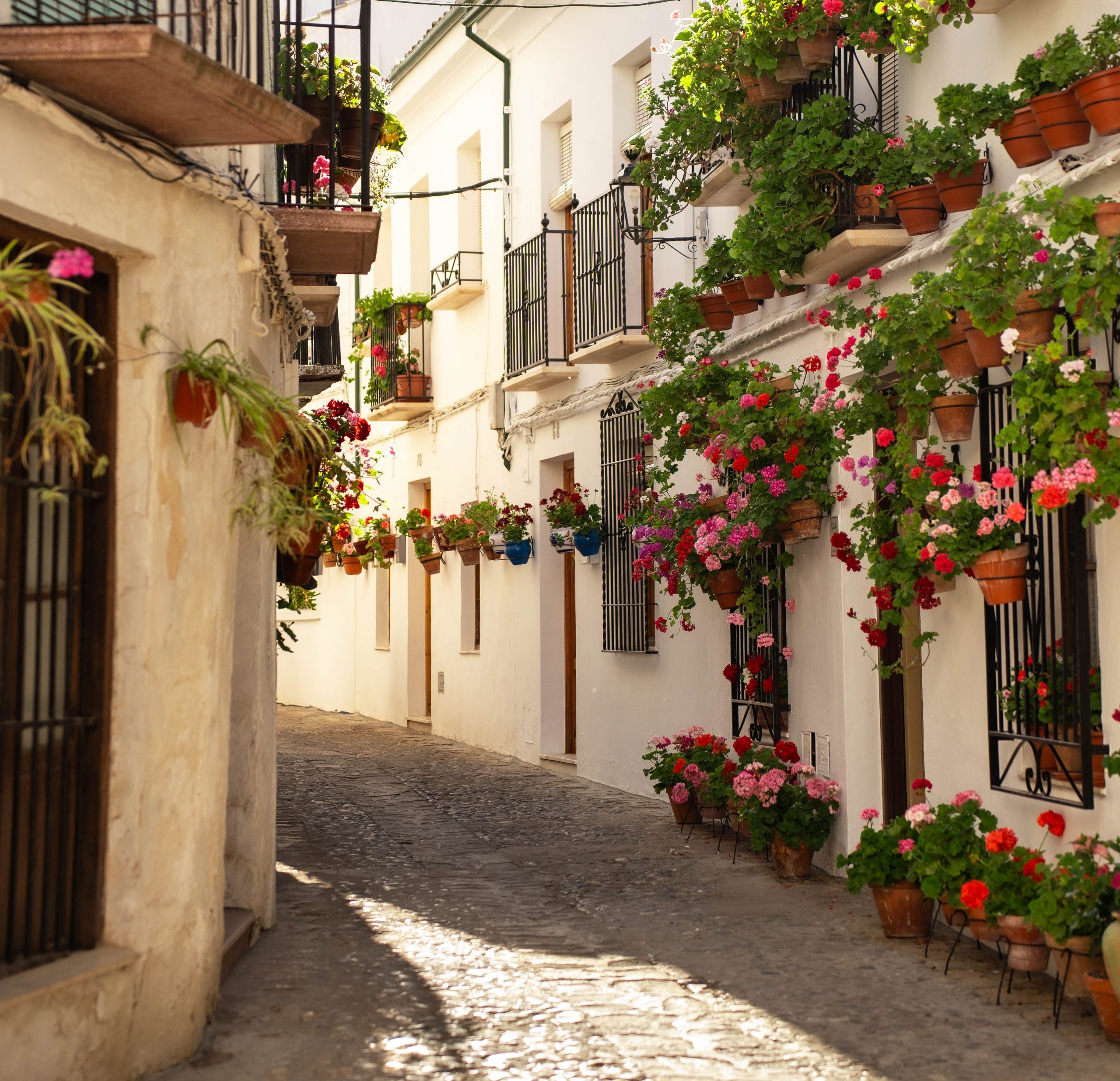 Callej&oacute;n de las Flores