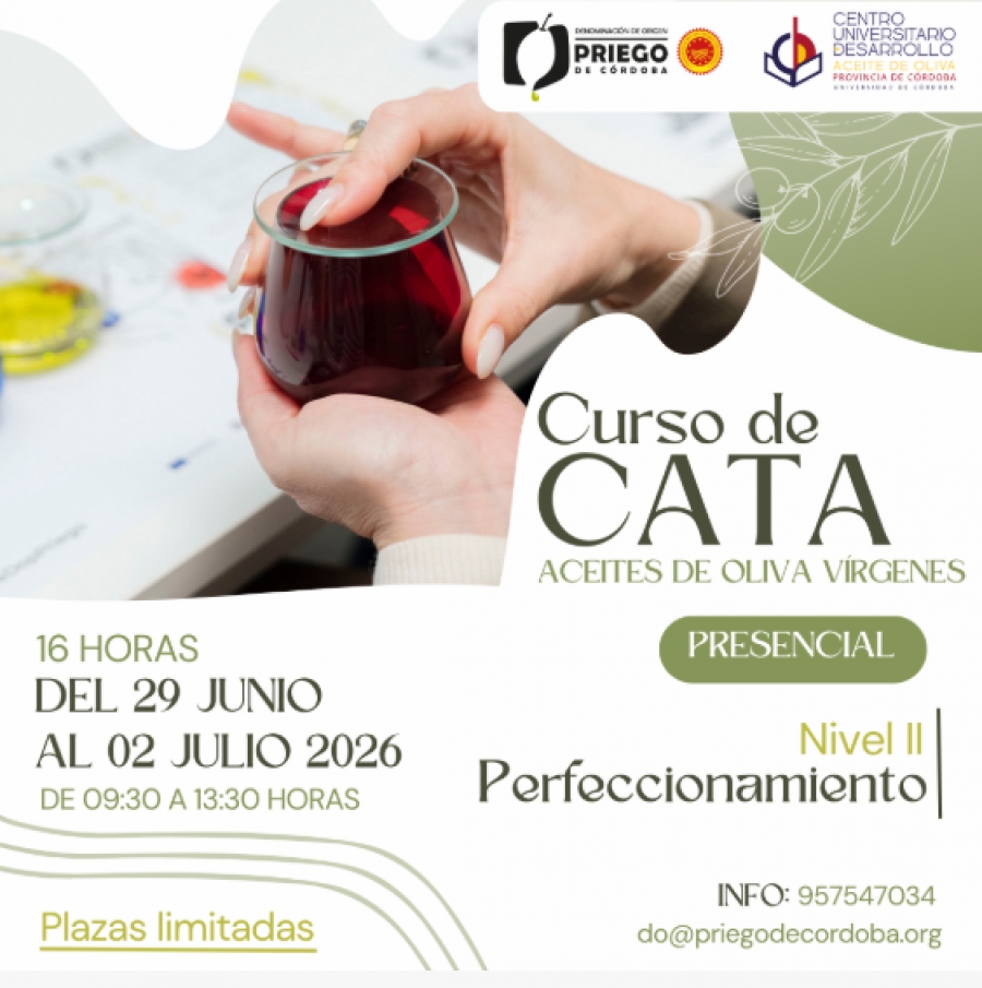 Curso de Cata Aceites de Oliva V&iacute;rgenes